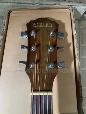 Quality Wieler Dg 65n Pure Acoustic Guitar