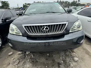 Lexus RX 350 AWD 2008 Gray