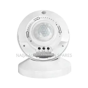 Motion Sensor Switch | Ceiling Mounted L 220 Vac RZ036