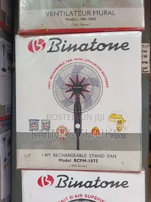 Fast Rechargeable Binatone Model- 1875