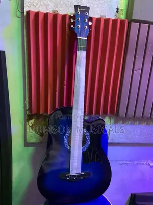 Acoustic Guitar  