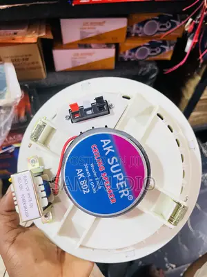 Frameless Ceiling Speakers Ak Super