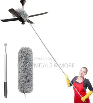 Microfiber Cobweb Remover/ Duster With Extension Pole