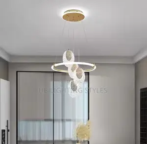 Modern Home Decor Led Lights Pendant Light