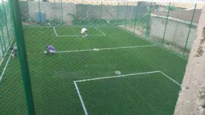 Artificial Grass Turfs