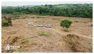Buildable and Dry Land