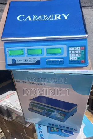 Electronic Pricing Scale 40kg