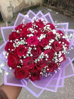 Luxurious Red Roses