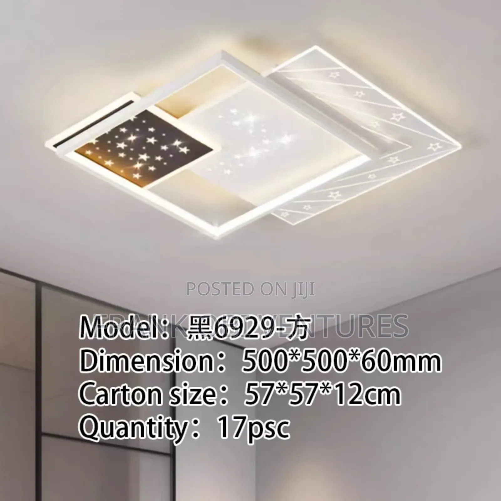 Ceiling Fittings ( Flush Lights)