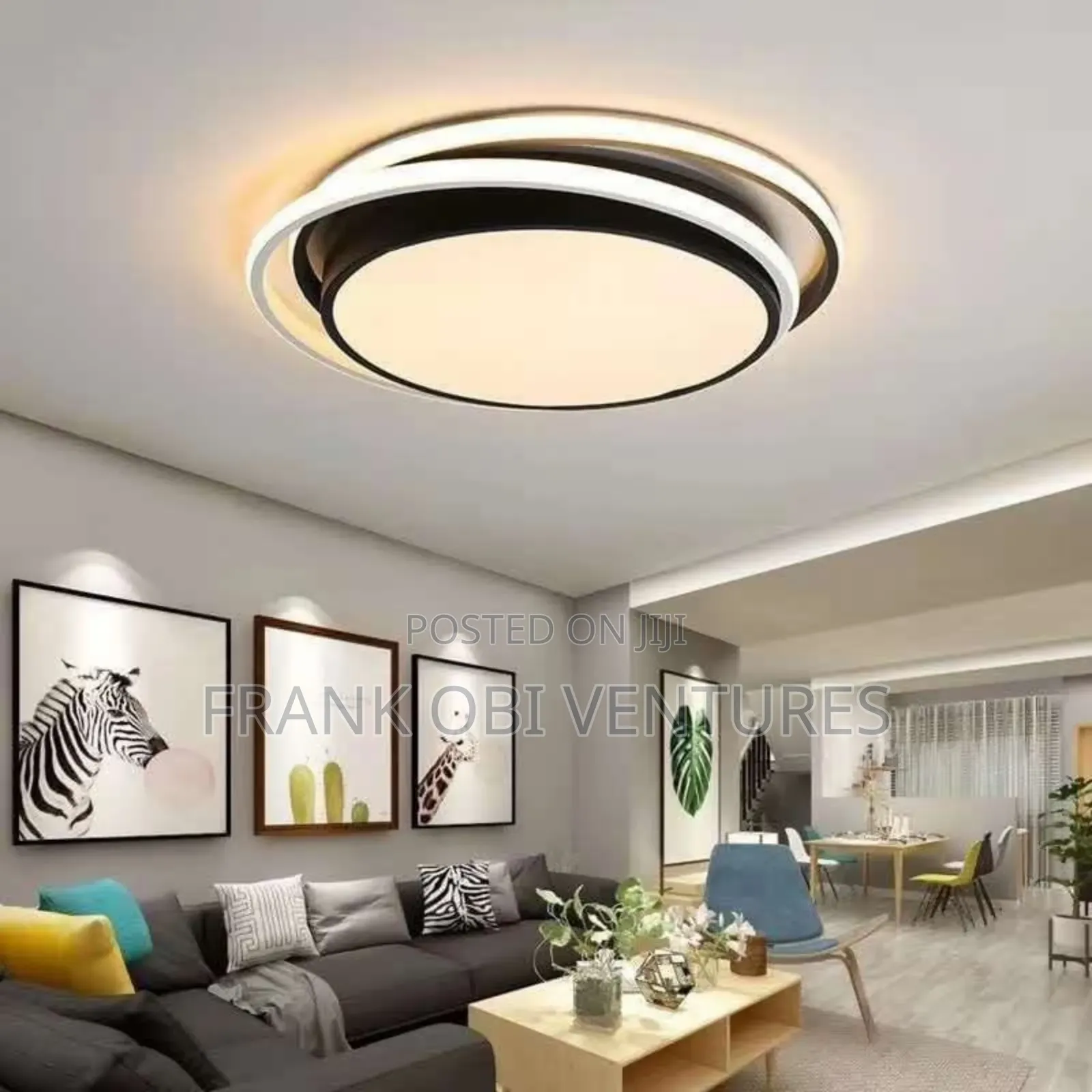 Ceiling Fittings ( Flush Lights)