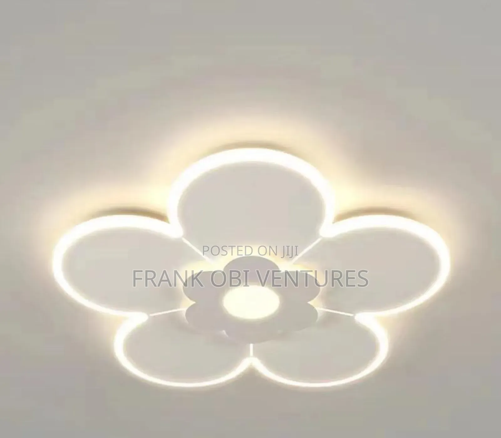 Ceiling Fittings ( Flush Lights)