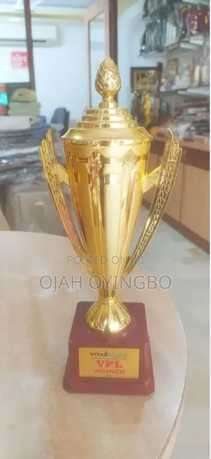 Shine With Excellence: Premium Gold Trophy Cup
