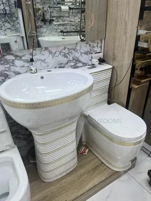 Executive Design WC With Standing Basin
