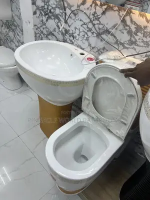 Executive Wc Gold and White With Standing Washing Basin