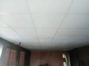 Suspended Ceiling Tiles