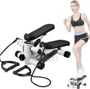 Mini Stepper
