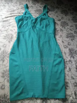 Jane Norman Bodycon Gown