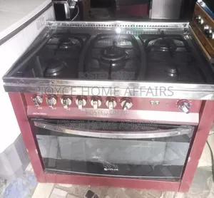 5 Burners Standing Gas Cooker Scanfronst
