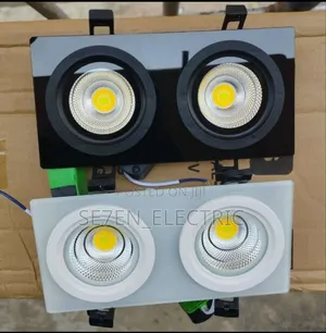 2 in 1 Spotlight