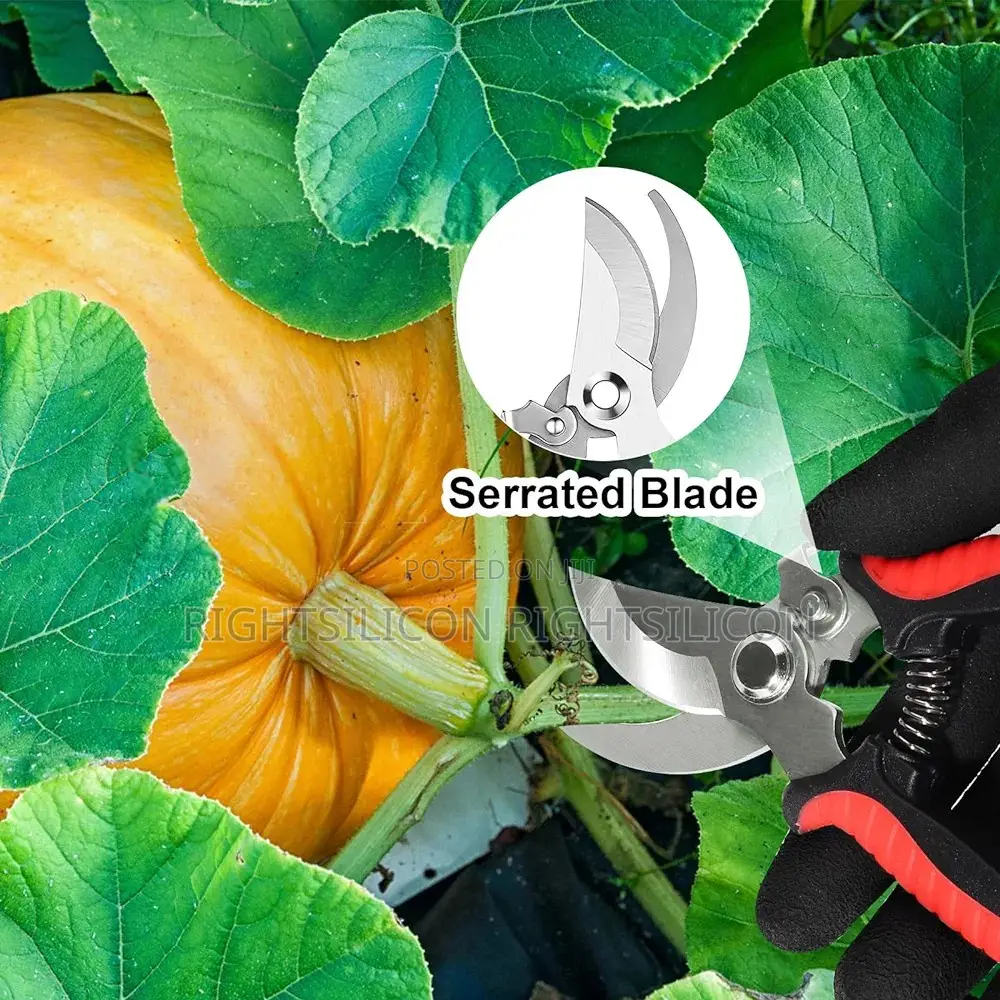 USA 4 Pack Garden Shears Scissors,Pruning Shears, Pruning