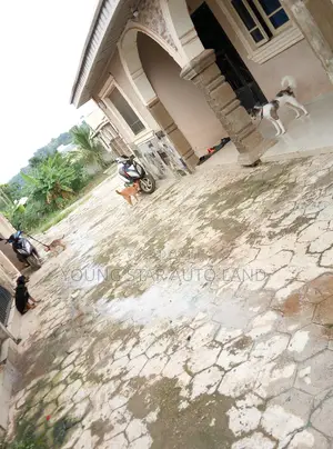 Needed a House Help Just for Cooking and Some House Cleaning
