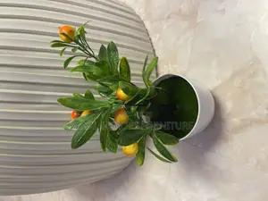 Artificial Flower Vases