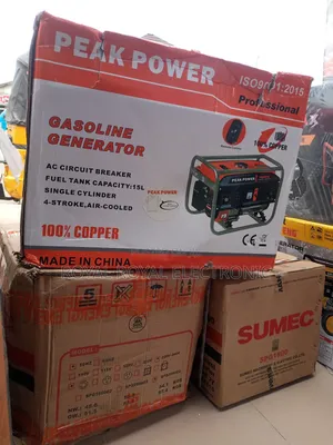 Authentic Peak Power 2.5kv Remote CTRL Generator-100% Copper