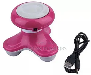 Mini Electric Massager