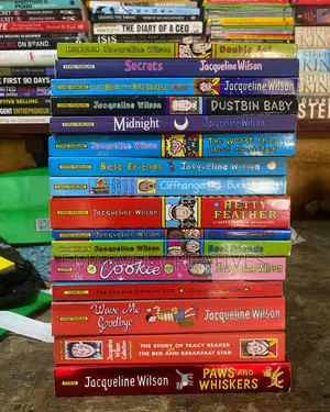 Collection of Jacqueline Wilson’S Book(16 Books)