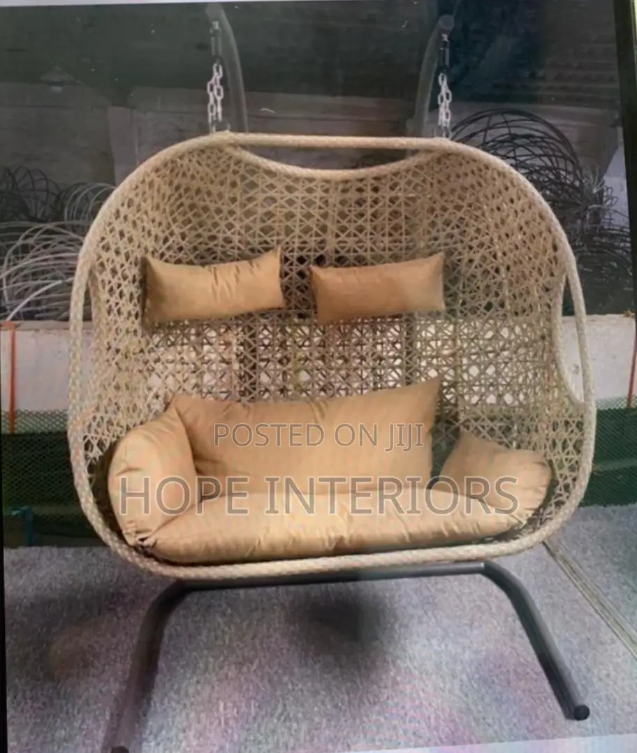 Double Swing With Cushion