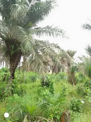 One Acre of Land at Ijeagemo