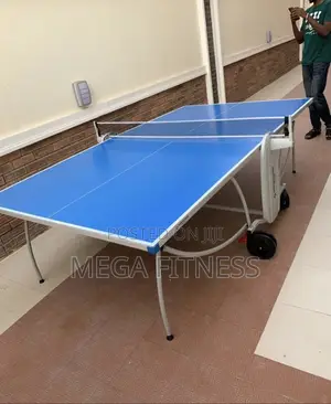 Aluminum Curved Leg Table Tennis