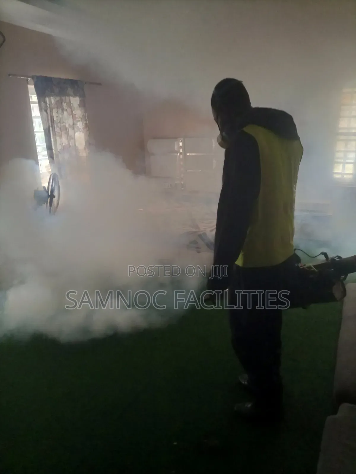 Hire Professional for Your Pest Control