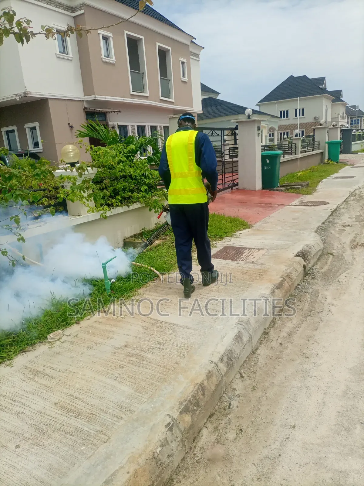 Hire Professional for Your Pest Control