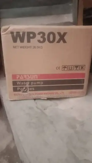 3inches Parsun Pumping Machine
