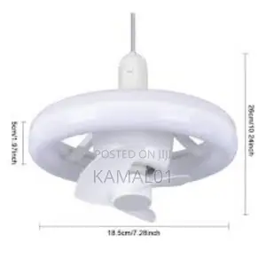 LED Light Fan