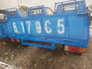 Mitsubishi Delica 2009 Blue