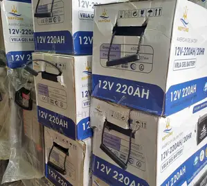 220ah 12v Neptune Dry Cell Battery