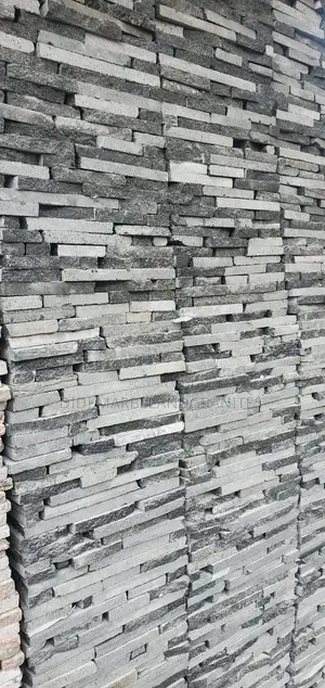 Black Paladina for Wall
