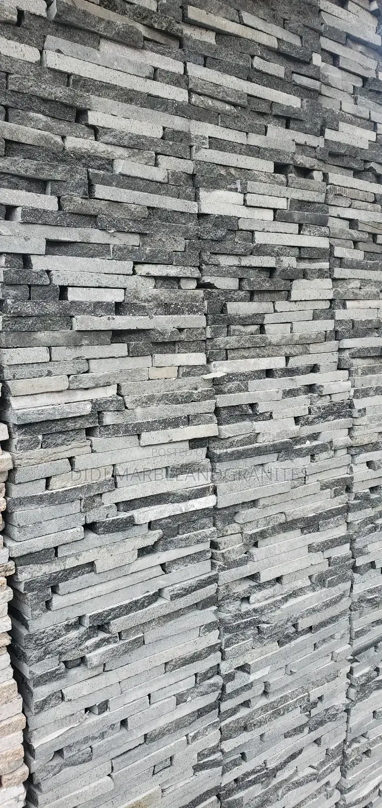 Black Paladina for Wall