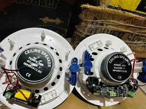 Dart 20w Ceiling Speakers Bluetooth