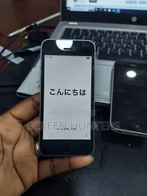 Apple iPhone 5s 16 GB Gray