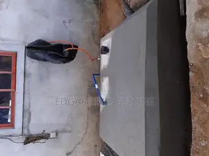 Biogas System