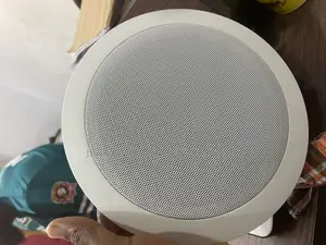 30watts Sound Ceiling Speakers