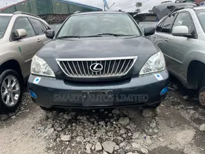 Lexus RX 2009 Green