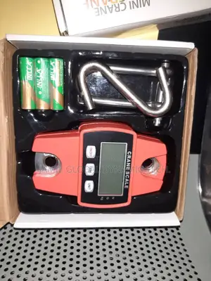 300kg Mini Crane Scale