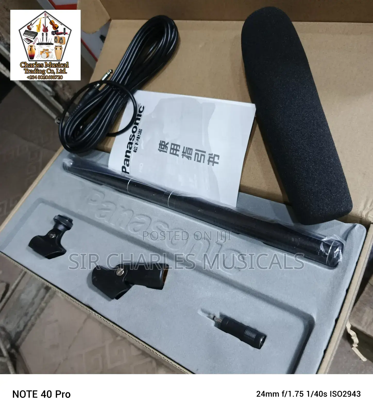 Panasonic Condenser Microphone Long One
