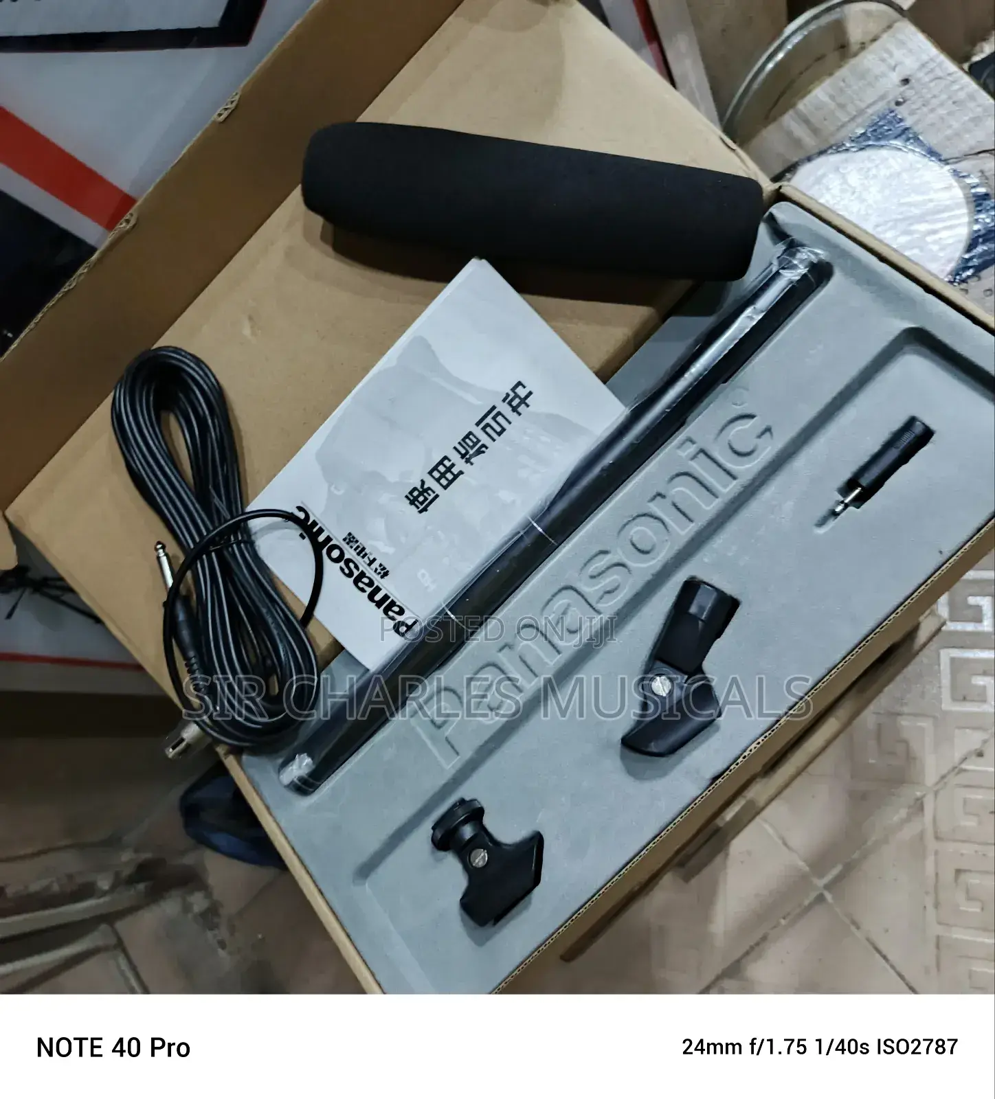 Panasonic Condenser Microphone Long One