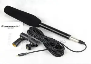 Panasonic Condenser Microphone Long One
