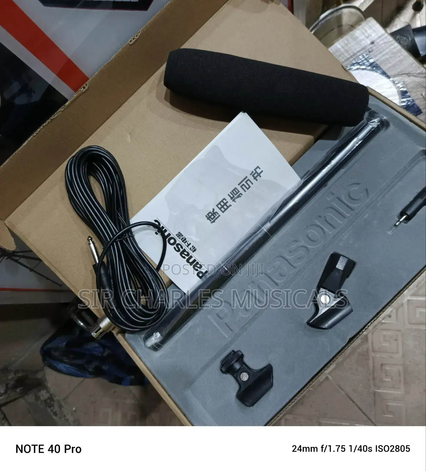 Panasonic Condenser Microphone Long One